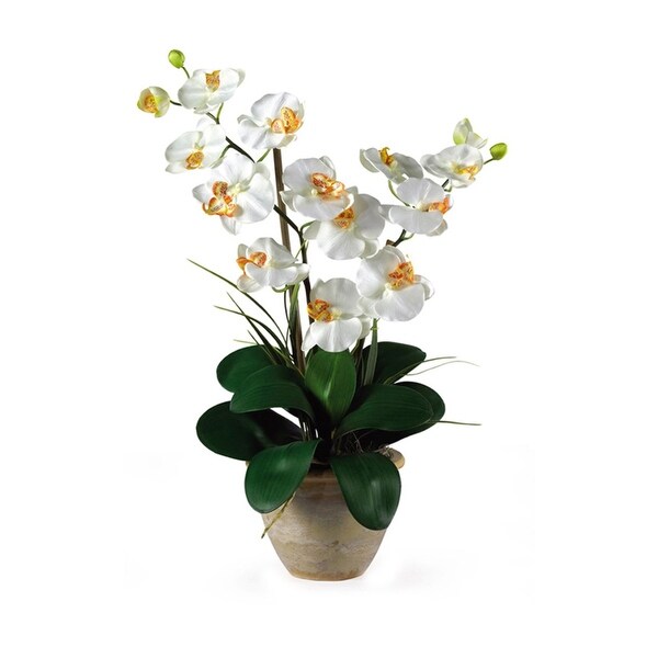 Nearly Natural Double Stem Phalaenopsis Silk Flower Arrangement
