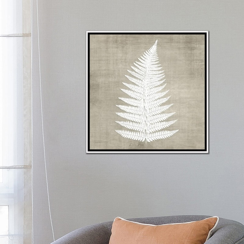 iCanvas "Natures Fern I" by Denise Brown Framed