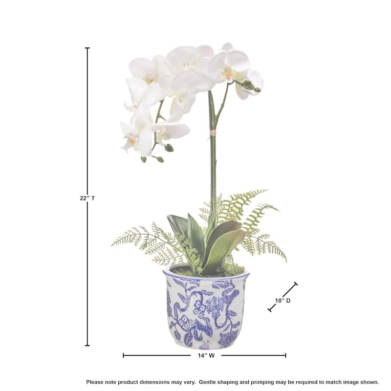 Phalaenopsis And Fern In Ceramic Pot 22"