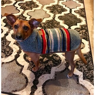 pendleton yakima dog coat