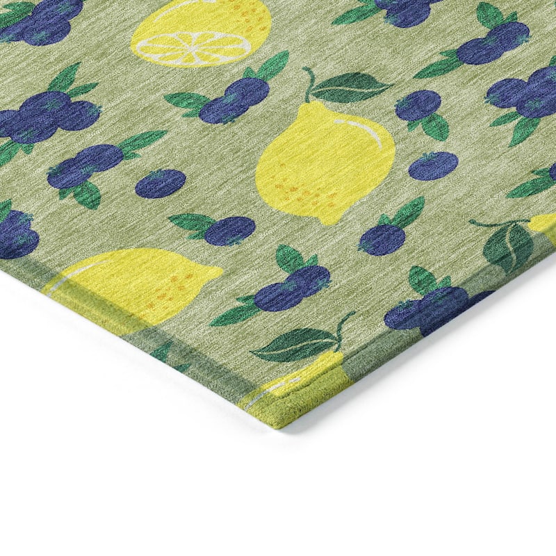 Machine Washable Indoor/ Outdoor Citrus Berry Chantille Rug