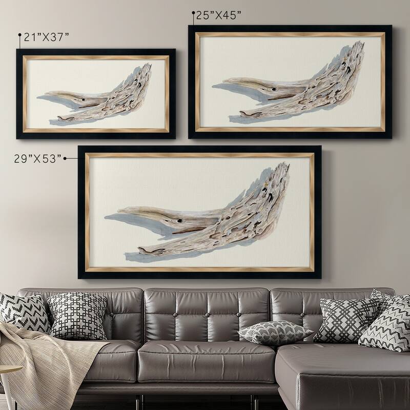Driftwood Study III Premium Framed Canvas- Ready to Hang