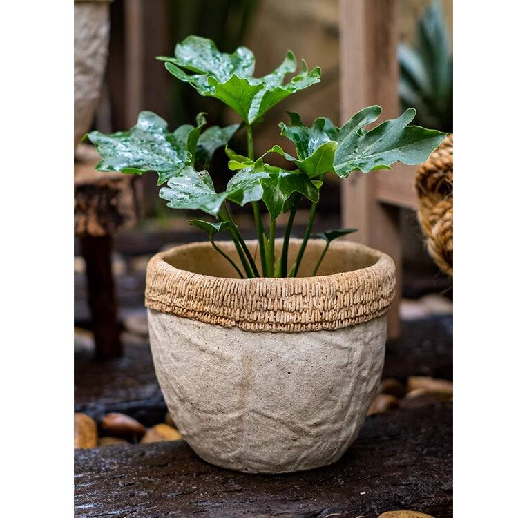 RusticReach Rattan Pattern Edge Cement Planter