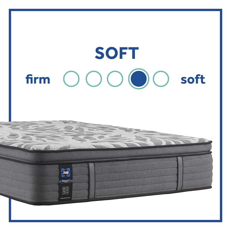 Sealy Virginia Street 14-inch Plush Euro Pillow Top Mattress Set