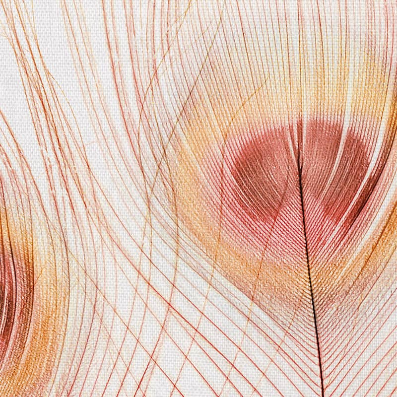 Peach Peacock by Belle Maison Canvas Art Print