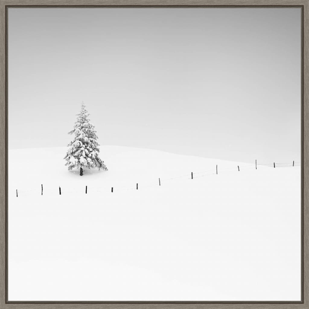 Lone Tree in Snow by Alexej Schulz Framed Canvas Wall Art Print