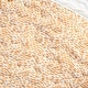 preview thumbnail 16 of 17, Lush Decor Rowley Birds Throw Blanket