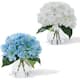 Option Blue+White