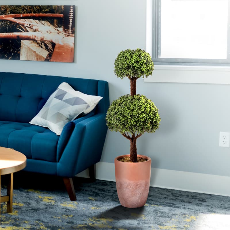 Spring Boxwood In Pot 43"
