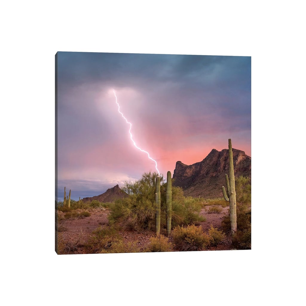 iCanvas "Saguaro Cacti With Lightning Over Peak In Desert, Picacho Peak State Park, Arizona" by Tim Fitzharris Canvas Print