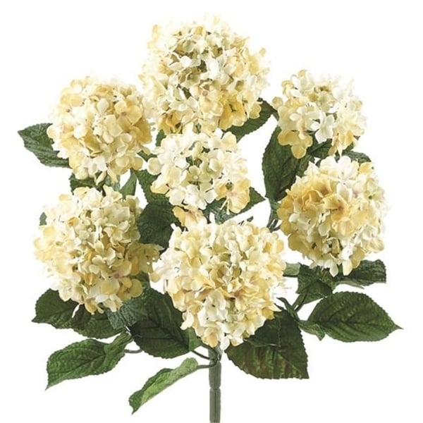 20 Inch Hydrangea Bush with Flocked Leaves in Cream Beige - Qty of 6