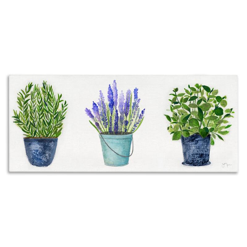 Stupell Varied Potted Plants Herbs Country Botanical Farmhouse Canvas Wall Art, Design by Janet Tava - 30 x 13