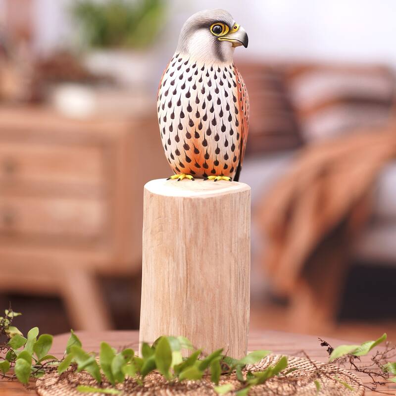 Novica Handmade Common Kestrel Wood Statuette