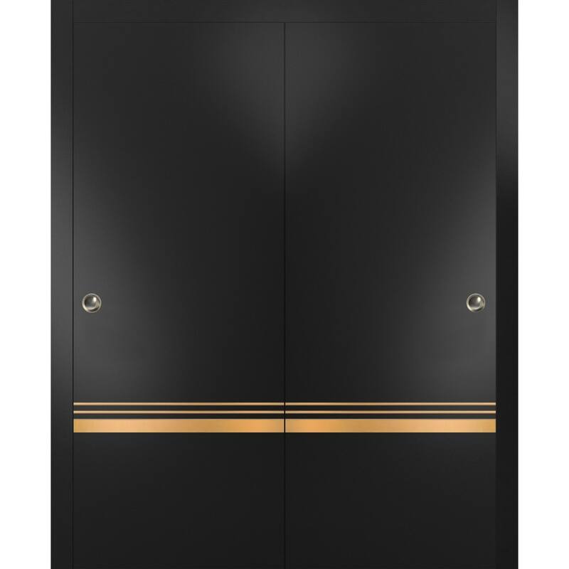 Bypass Doors 36 x 80 Planum 2010 Matte Black with Sturdy Rails - Black - 36" x 80" ( 2* 18x80)