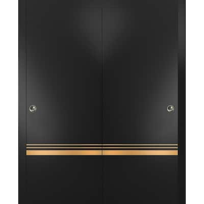 Bypass Doors 36 x 80 Planum 2010 Matte Black with Sturdy Rails