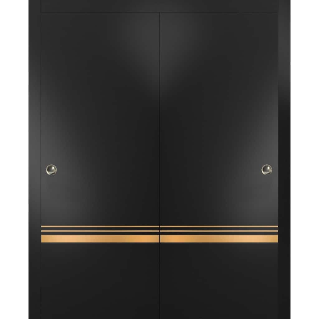 Bypass Doors 36 x 80 Planum 2010 Matte Black with Sturdy Rails