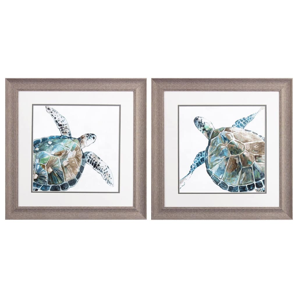 Neutral Sea Turtle S/2 Framed Art Under glass
