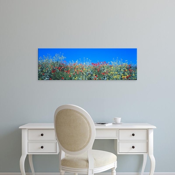 Easy Art Prints Panoramic Images's 'Poppy field Tableland N Germany' Premium Canvas Art