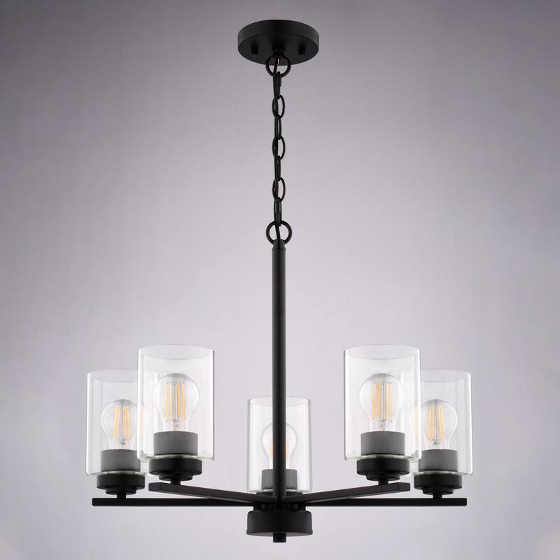 Vaxcel Lighting H0313 Park Ridge 5 Light 21" Wide Chandelier