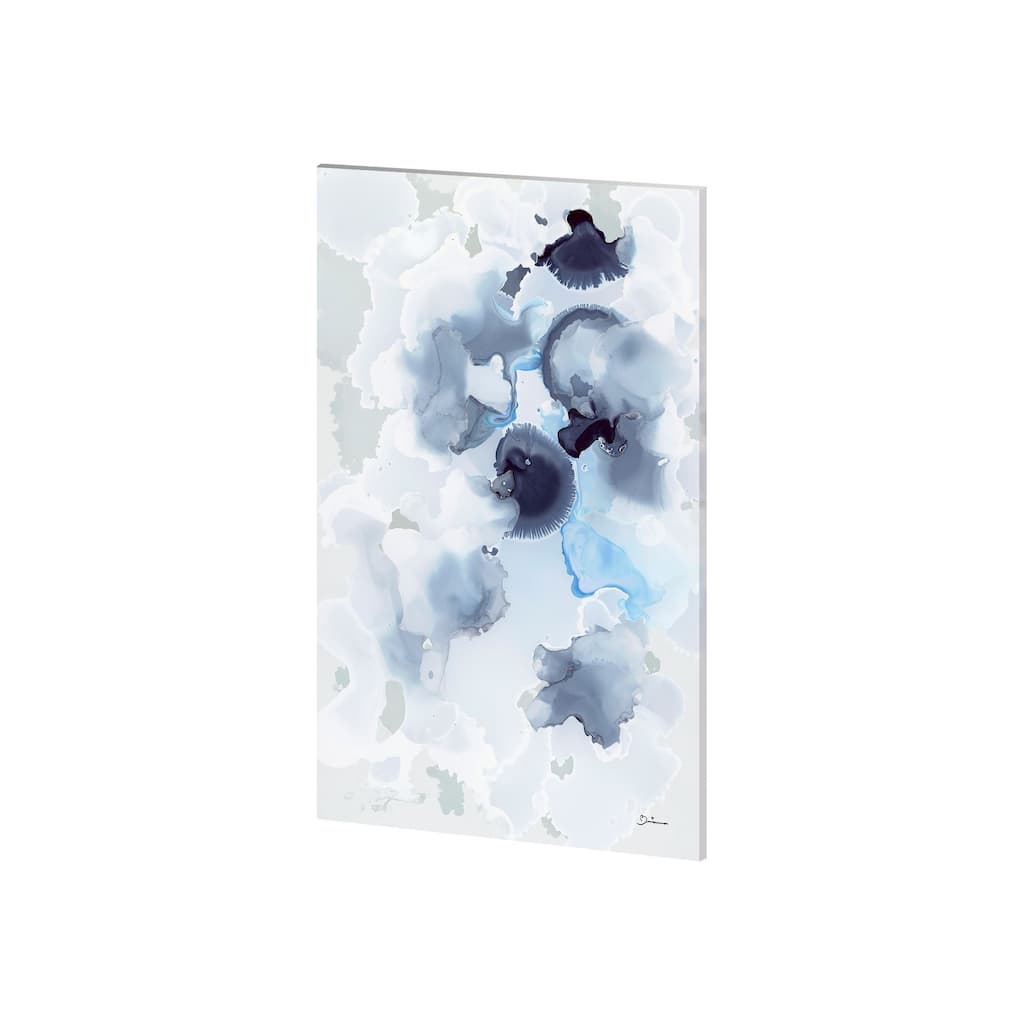 Mercana Humboldt II (25 x 38) Made to Order Canvas Art - Multi