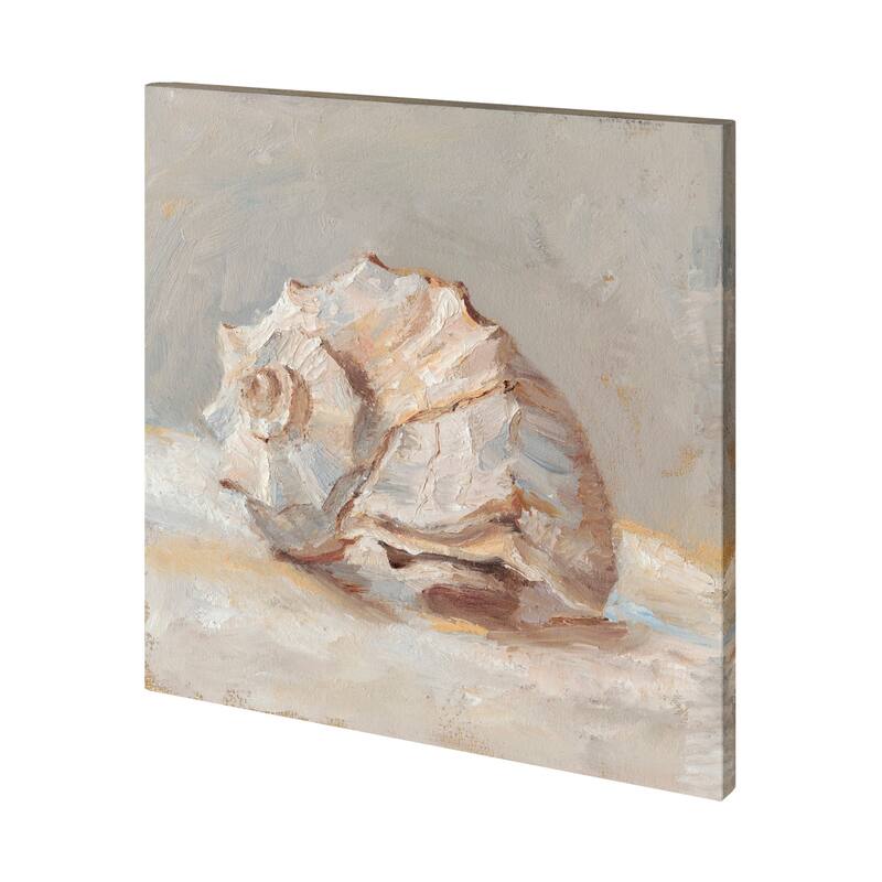 Impressionist Shell Study II Canvas Art Print - Large