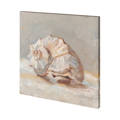 Impressionist Shell Study II Canvas Art Print