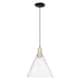 Option Clear / Black Antique Brass
