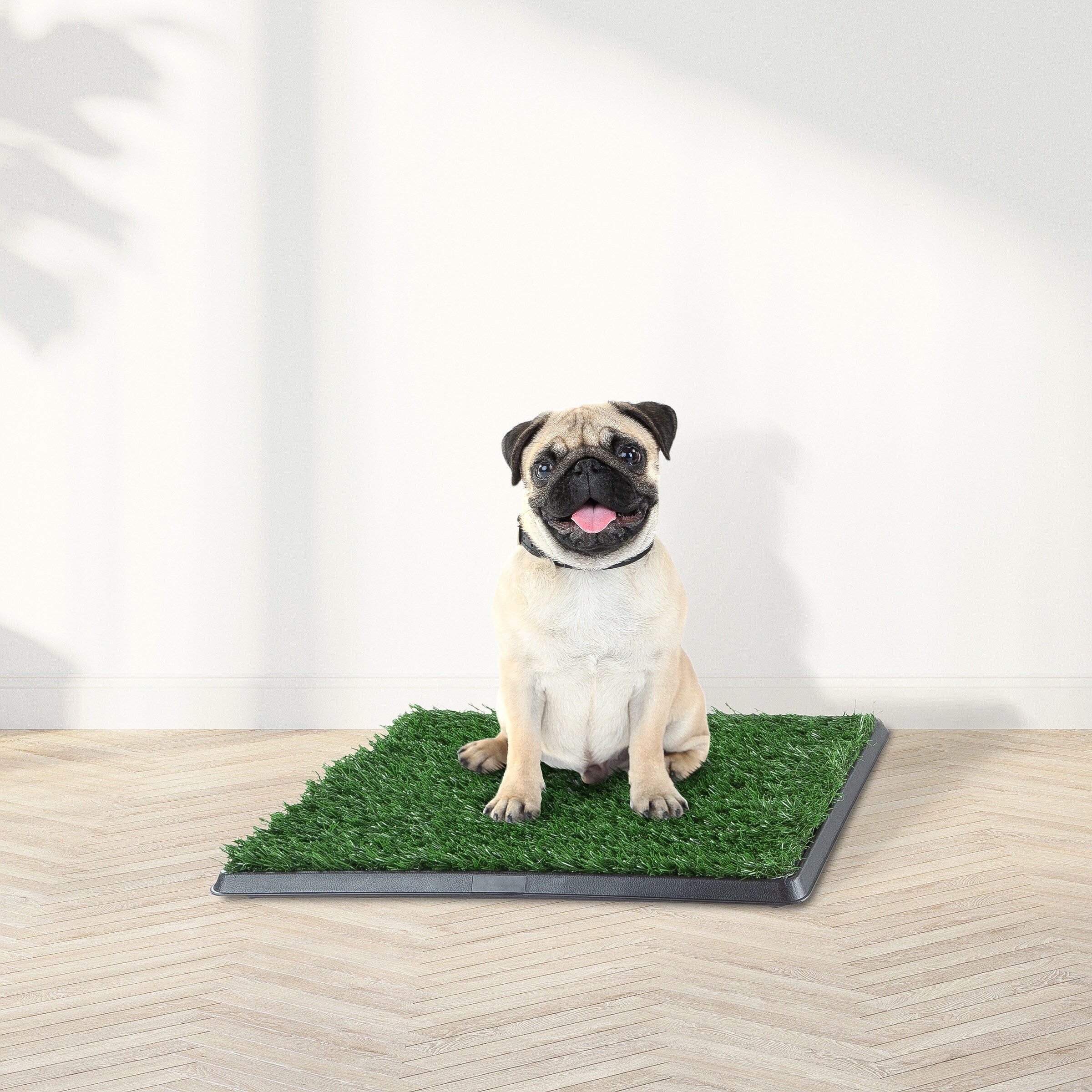 Petmaker new arrivals replacement grass