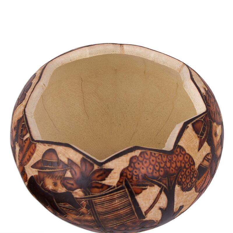 Novica Handmade Honoring Tradition Gourd Decorative Box