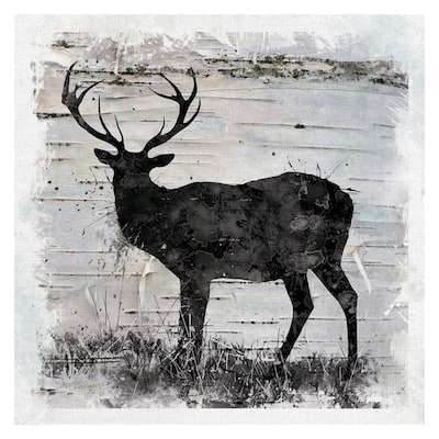 Birchbark Deer by Carol Robinson Canvas Art Print