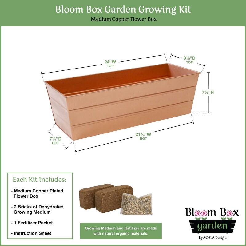 Achla Designs 24" W Medium Galvanized Steel Indoor Outdoor Bloom Box Garden Growing Kit, Garden Accent