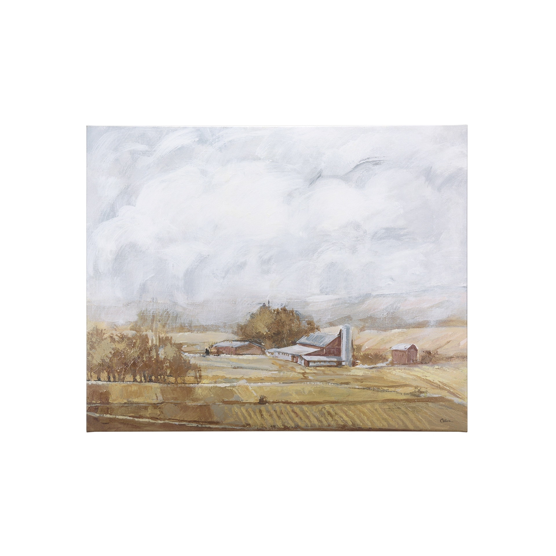 Farmland View II (35 x 28) Canvas Art Print