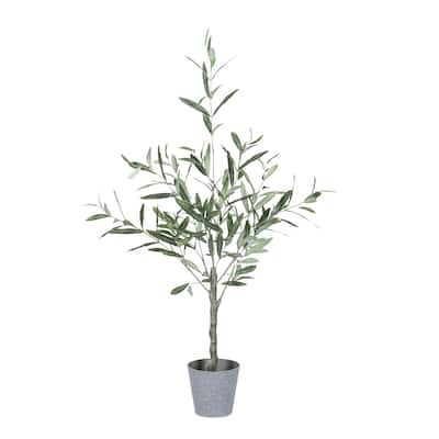 3 Ft High Olive Tree with Plastic Pot
