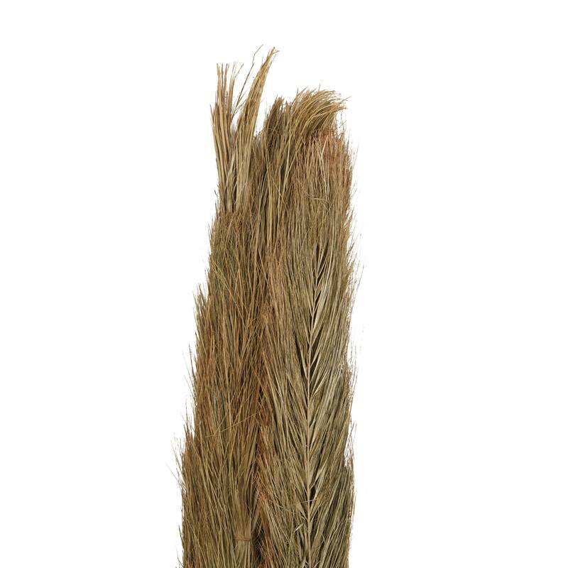 Palm Leaf Tall Home Decor Natural Foliage with Grass - Green - Roche River Decor