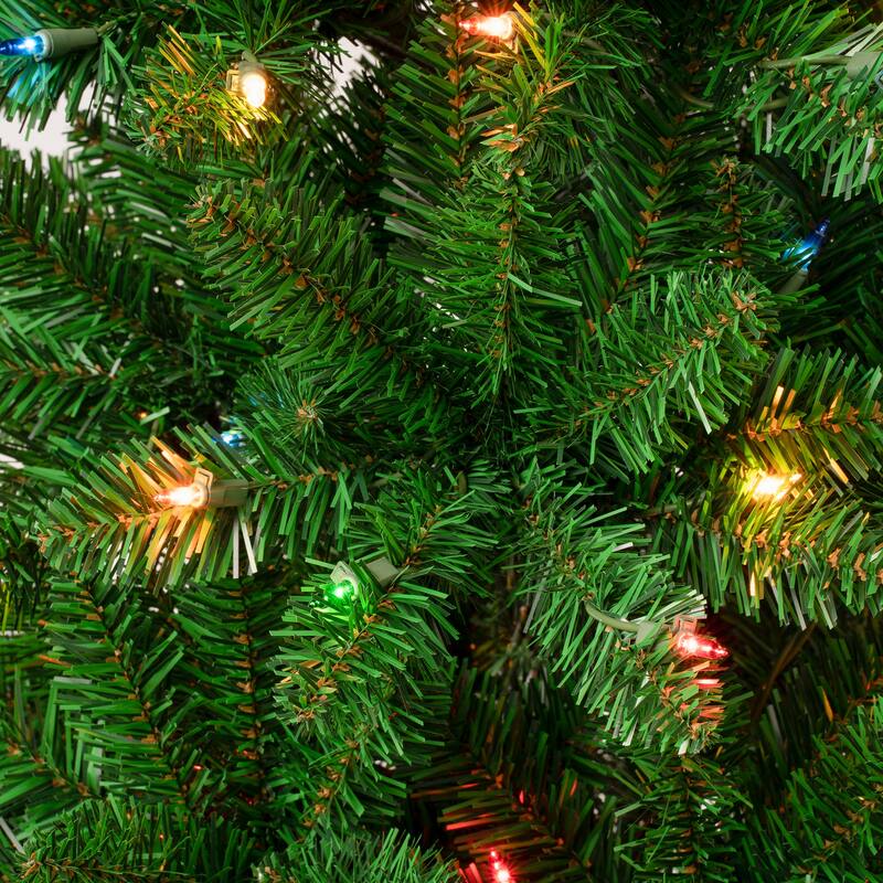 National Tree Company 7.5 ft. Rowan Pencil Slim Tree with Multicolor Lights - 7.5 Foot