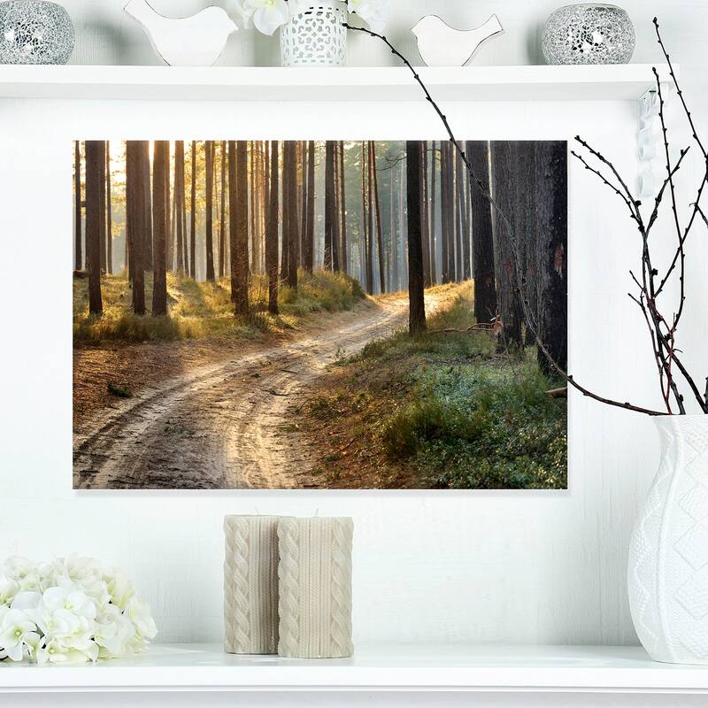 Designart "Road in Thick Morning Forest" Landscape Photo Canvas Art Print - 20 in. wide x 12 in. high