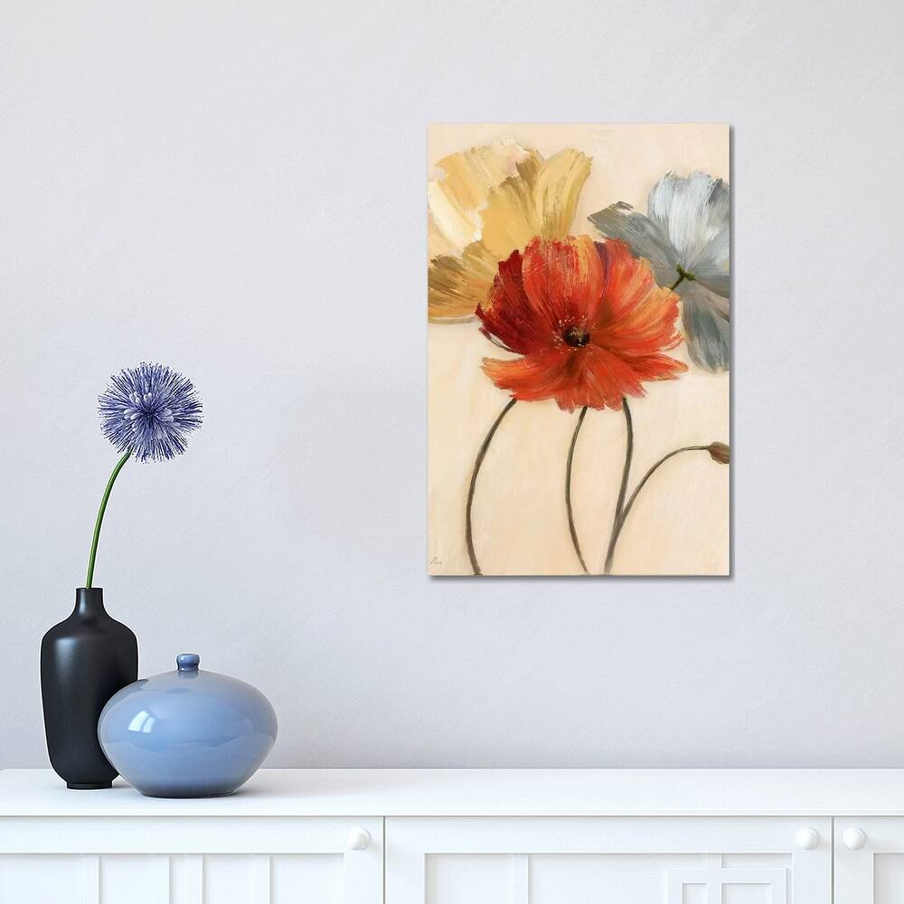 iCanvas "Poppy Palette I" by Nan Canvas Print