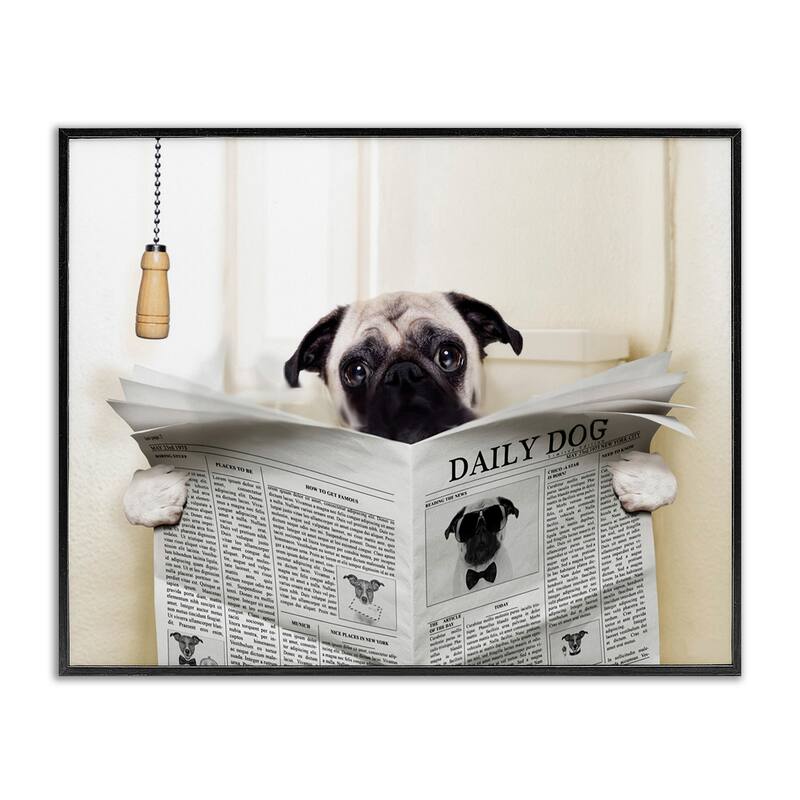 Stupell Pug Reading Newspaper Framed Giclee Art - Black Framed - 11 x 14