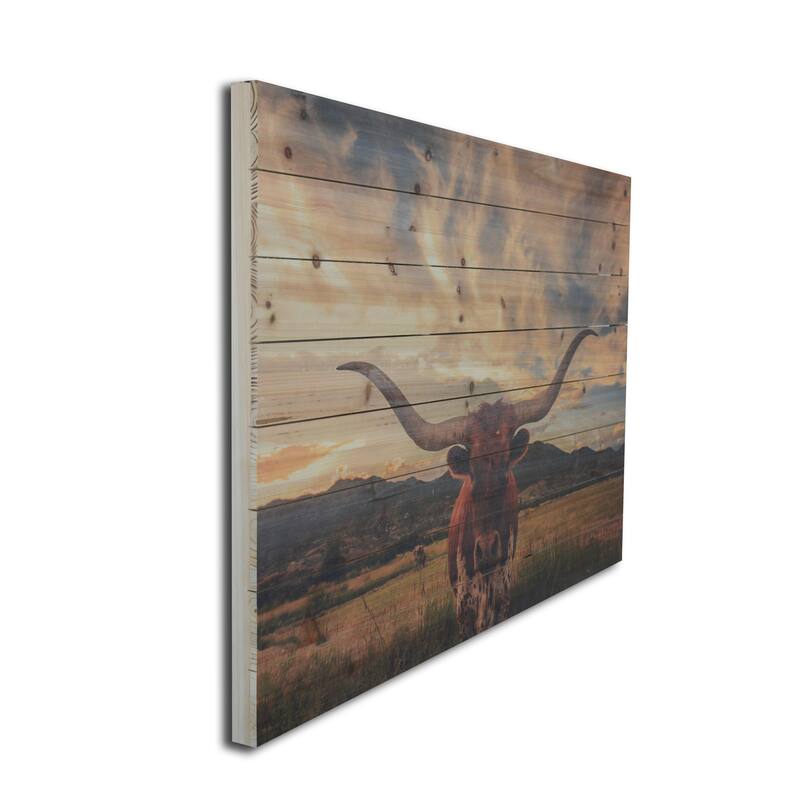 "Longhorn Cow in Field" Photograph Print on Planked Wood Wall Art