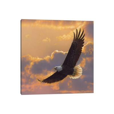 iCanvas "Soaring Spirit - Bald Eagle, Square" by Collin Bogle Canvas Print