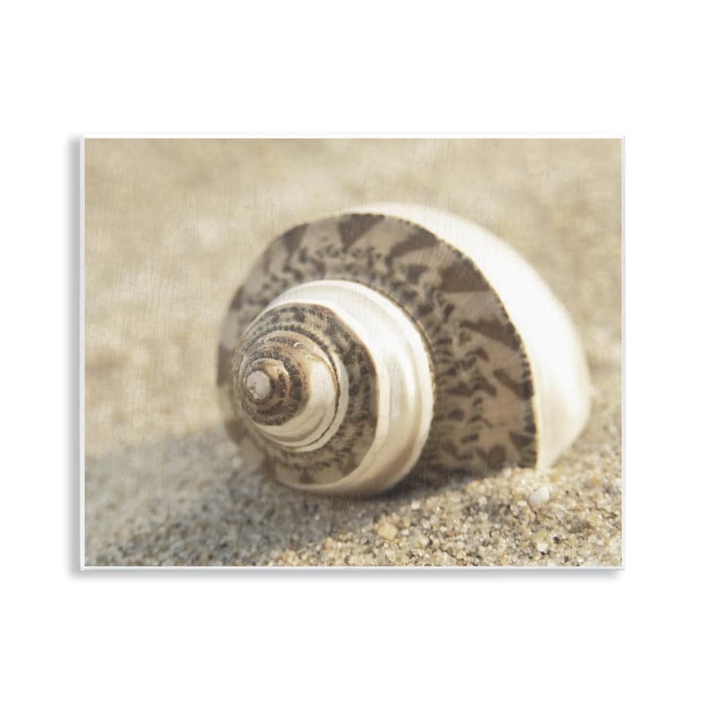 Stupell Neutral Tone Seashell Wall Plaque Art Design By Dora Rotondella