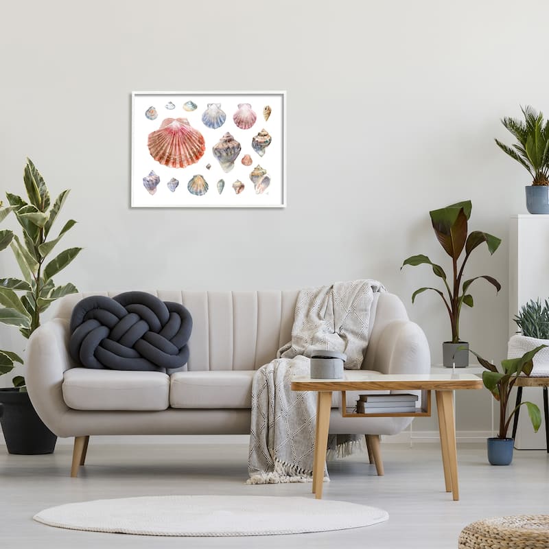 Stupell Nautical Shell Watercolor Study Patterned Aquatic Life Framed Wall Art - Multi-Color