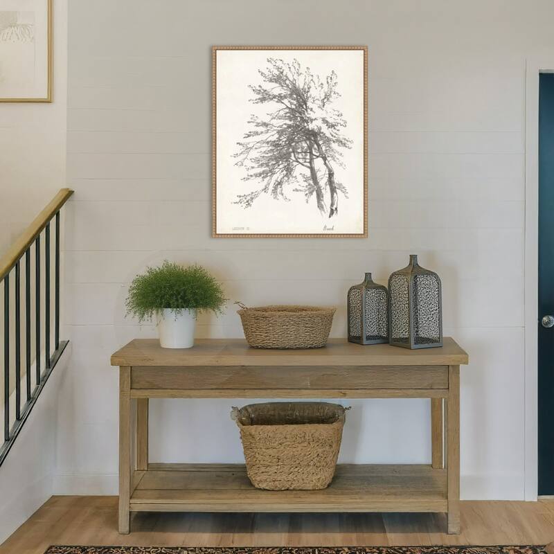 Beech Tree Study (23 x 28 in.), Framed Canvas Wall Art Print