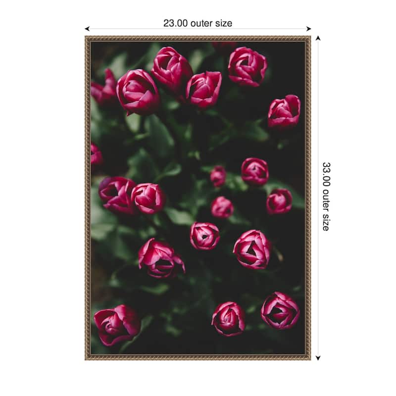 Kate and Laurel Sylvie Moody Dark Pink Tulips in Bloom Framed Canvas by Patricia Hasz of Patricia Rae Photography