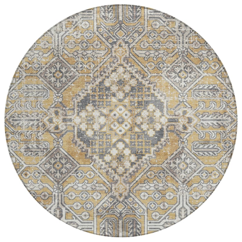 Machine Washable Indoor/Outdoor Traditional Eclectic Chantille Rug