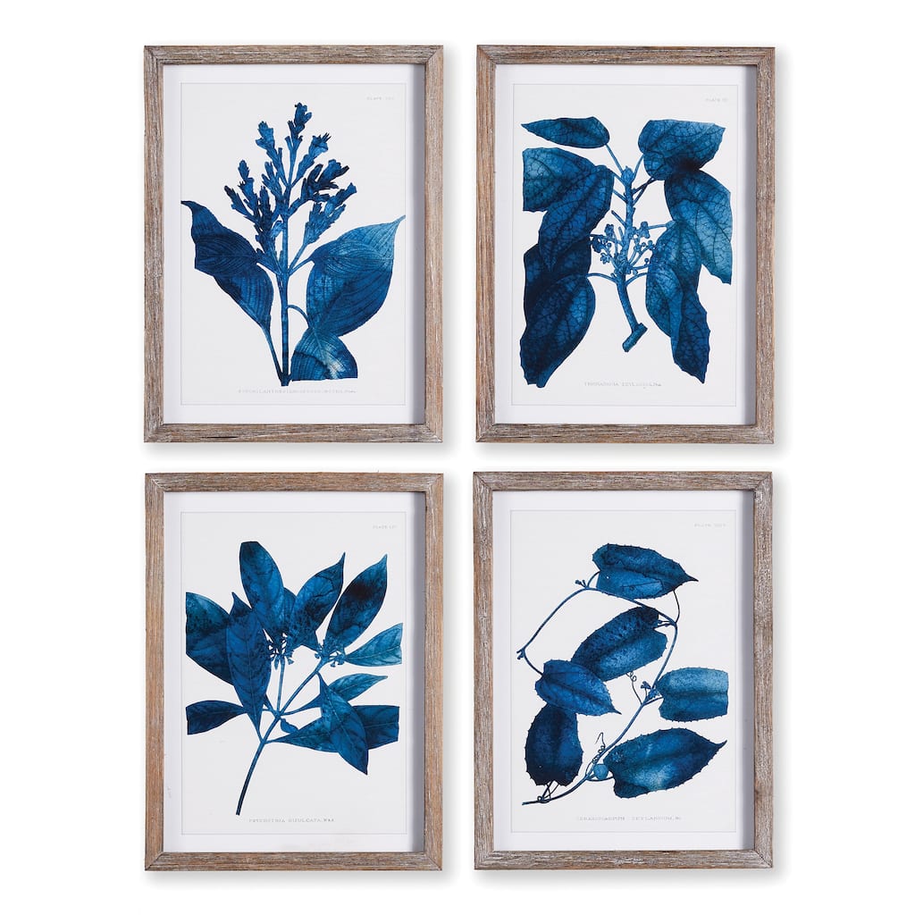 Indigo Botanicals, Set Of 4