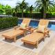 Option Teak