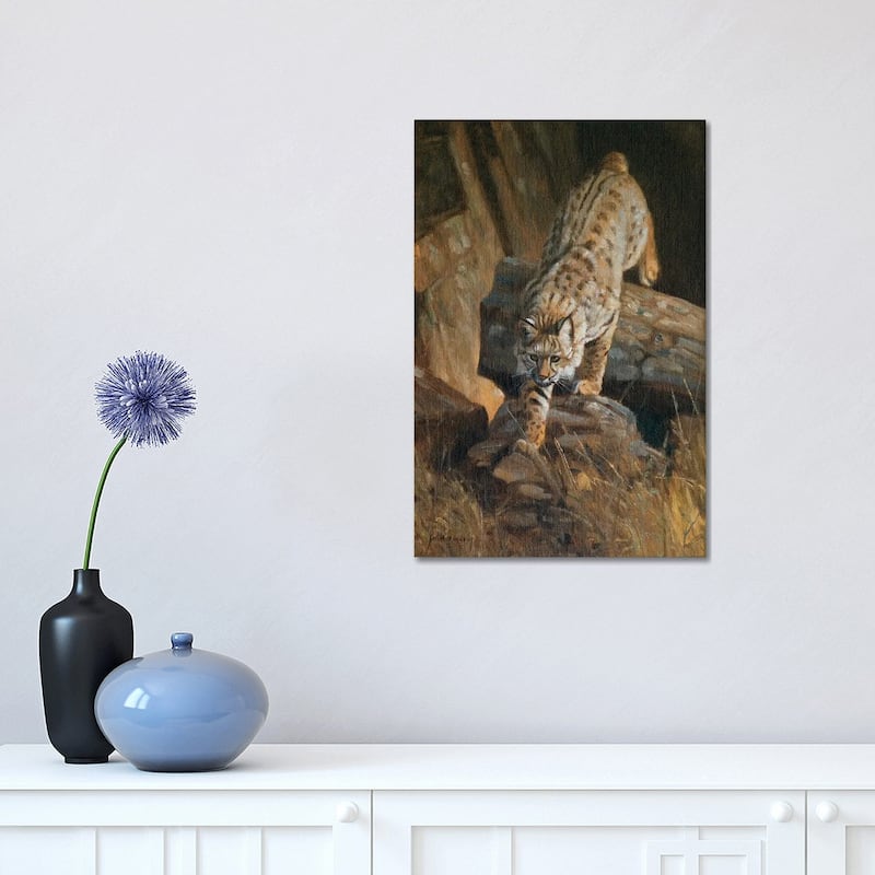 iCanvas "Lynx" by Grant Hacking Canvas Print - 18x12x1.5