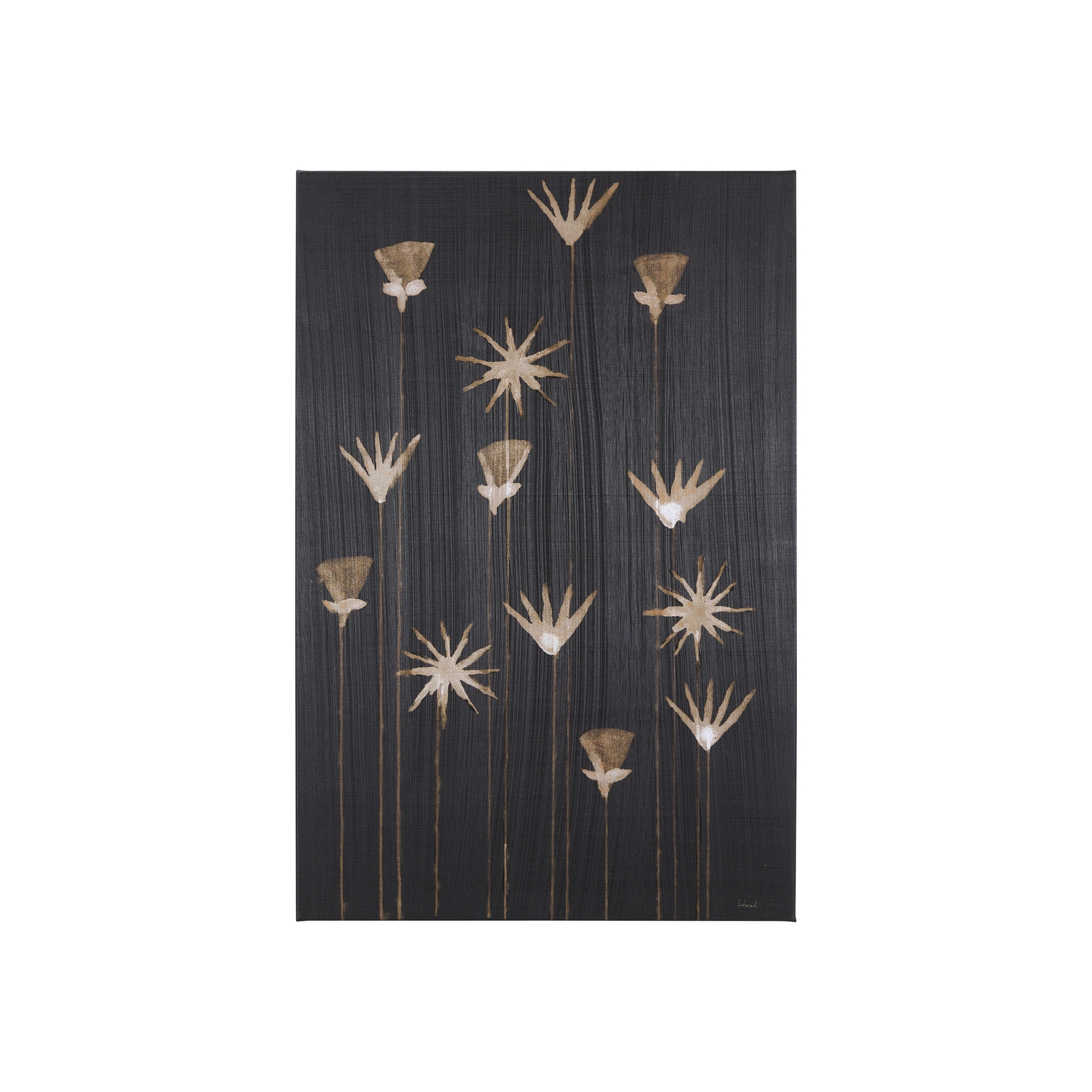 Mercana Spark II (20 x 30 ) Canvas Art Print