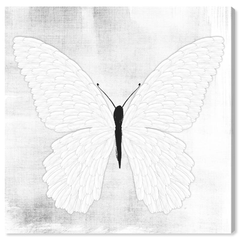 Wynwood Studio Canvas Animals Inked Butterfly White and Off-white Glam Wall Art Canvas Print